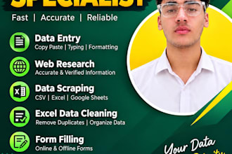 do professional data entry, web research and copy paste work