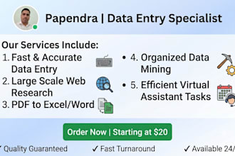 data entry work, copy paste, excel, web search, within time