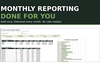 be your monthly excel reporting analyst