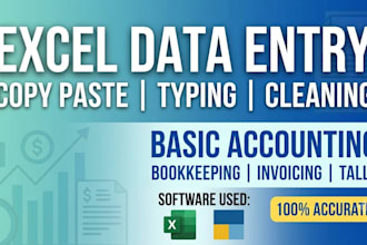 do accurate data entry in excel and bookkeeping in tally