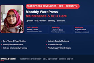 provide monthly wordpress maintenance, SEO health and security monitoring