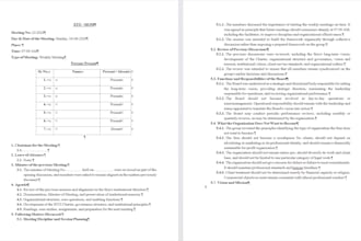 provide accurate human transcription and professional meeting minutes