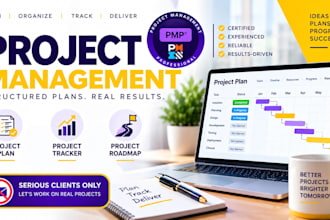 create a professional project plan, tracker and roadmap as a certified pmp