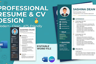 professionally format and design your resume or CV in word