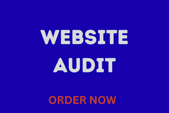 professionaly audit your website