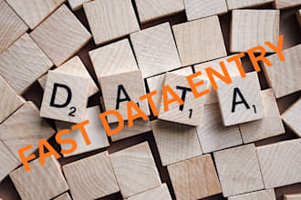 do fast data entry, excel, word, copy paste and typing work