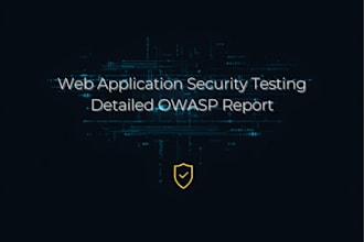 perform web application penetration testing