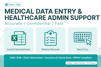 do accurate medical entry, ehr data entry, healthcare virtual assistant