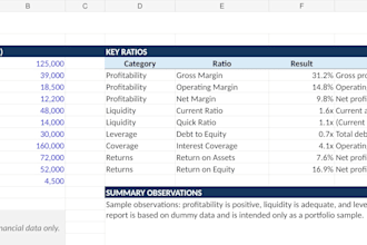 create financial statement, ratio analysis report in excel