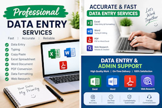 do data entry and ms word excel tasks