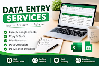 do accurate data entry, copy paste and web research