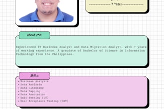 do data cleansing, data mapping, data migration, data entry
