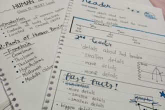 write neat handwritten notes and letters