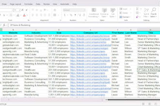 do data enrichment for b2b lead generation
