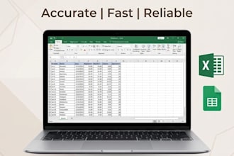 do professional excel data entry,copy paste and web research