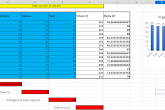 do excel data entry data cleaning and java programming