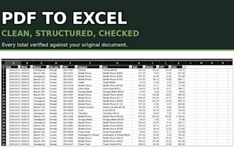 convert pdf to excel and clean up the data
