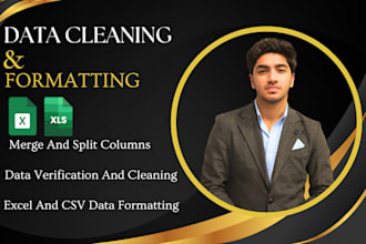 clean, organize, merge, and format excel and csv data