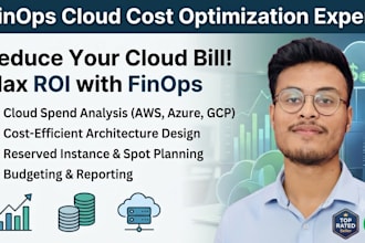 help you with finops implementation, cloud cost optimization and management