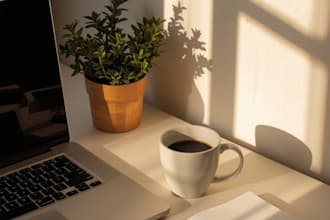 provide virtual assistant and email management