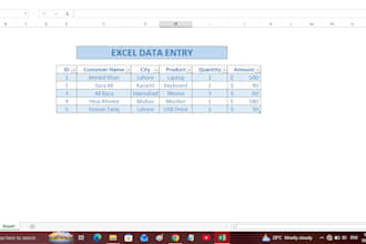 do accurate data entry in microsoft excel