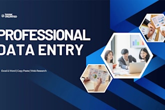 do professional data entry, copy paste and web research work