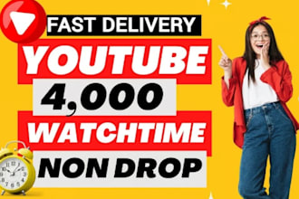 gain your 4000 youtube watch hours very high quality