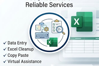 do professional data entry, excel and spreadsheet work