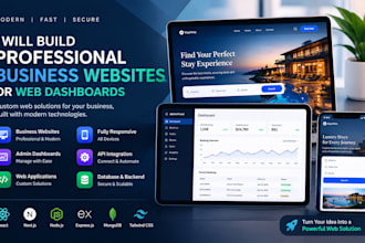 build a professional business website or web dashboard