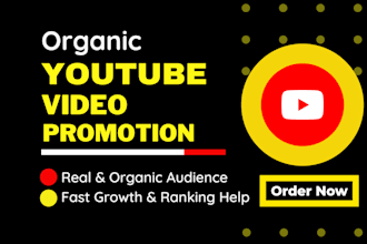 do organic youtube video promotion to help grow your channel