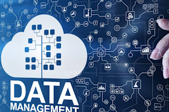 manage data on excel clean and format database