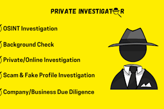 provide professional osint and online background research