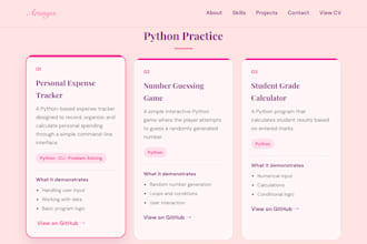 write python scripts programs and automate simple tasks