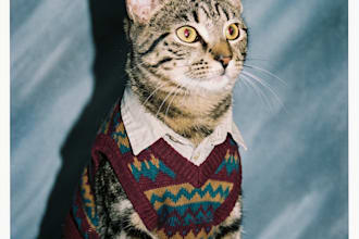 turn you or your pet into a cheesy 90s school yearbook photo