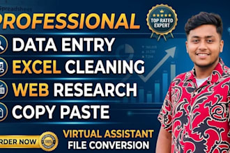 do data entry, excel cleaning, and copy paste work