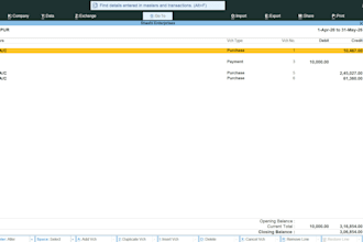 do bookkeeping, tally prime data entry and bank reconciliation