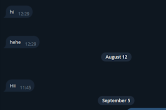 build a custom telegram bot for your task