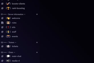 create and setup a professional discord server
