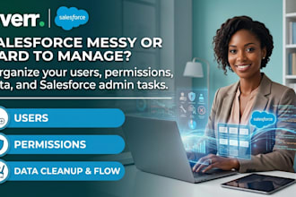 salesforce administrator user setup permission sets data cleanup hygiene flow