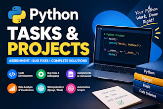 make your python project or assignment for you