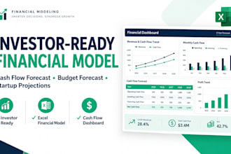 build investor ready financial model cashflow budget and startup projections