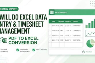 do excel data entry, pdf to excel, and timesheet in excel