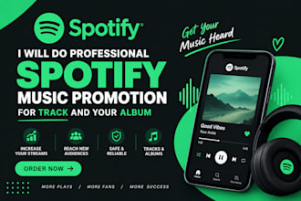 do professional sportify music promotion for track and your album