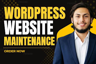 provide monthly wordpress website maintenance and support