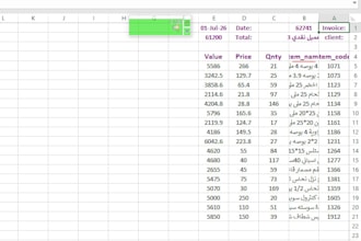 do data entry, data cleaning, analysis ,typing word,excel,