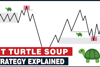 teach you profitable forex trading crt turtle soup entry