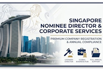 provide singapore nominee director and registered agent for company registration