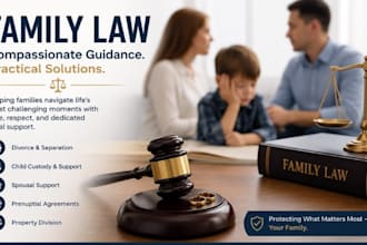 be your florida family dispute attorney and litigation assistant for pro se case