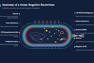 design clean academic and scientific powerpoint presentations