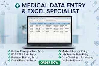 do US medical data entry and patient entry in excel